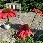 Willows Bed & Breakfast