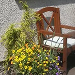 The Rowans Bed And Breakfast And Self Catering