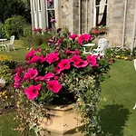 The Wellwood Guest House