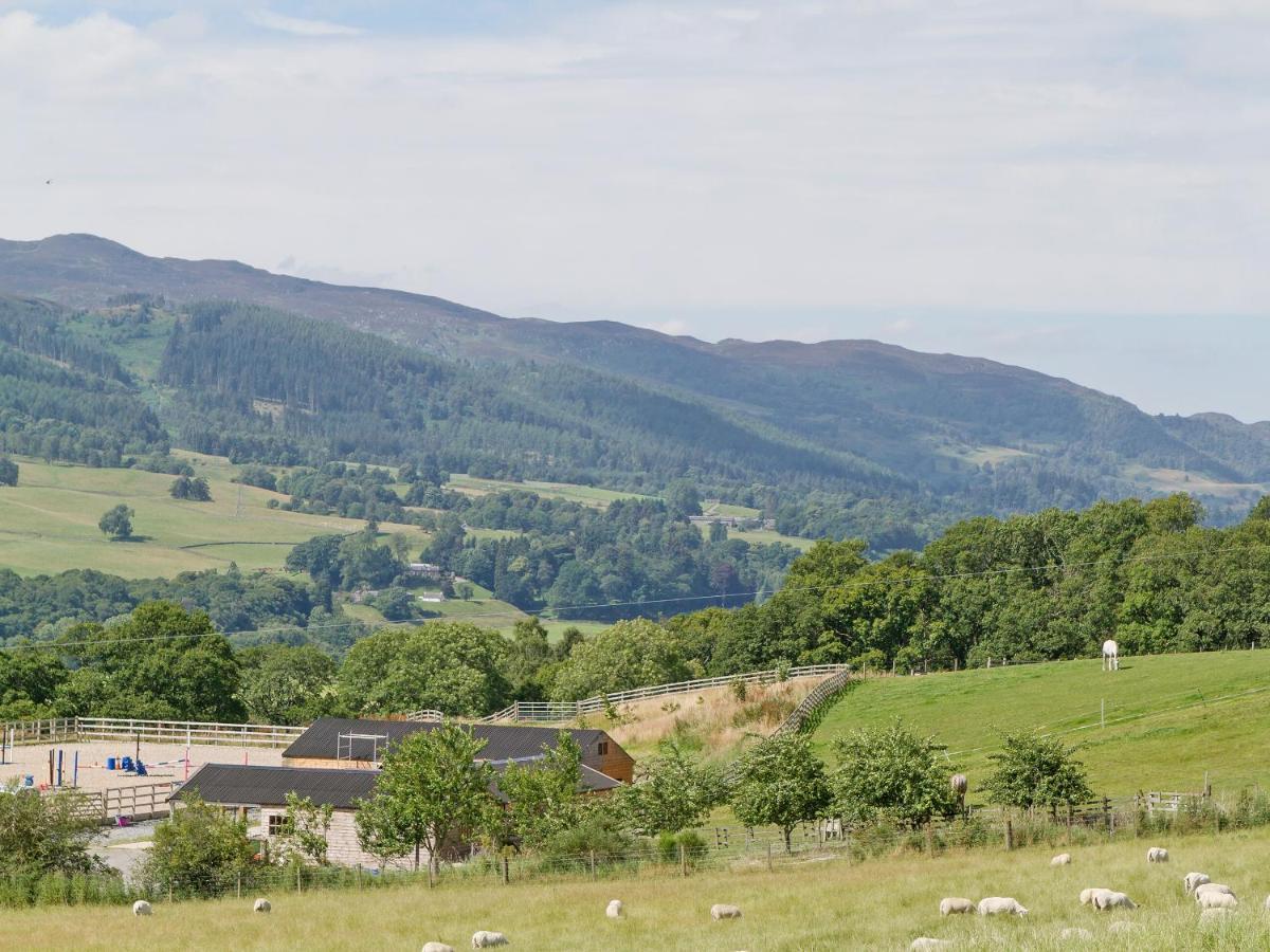 Mid Balchandy * Pitlochry