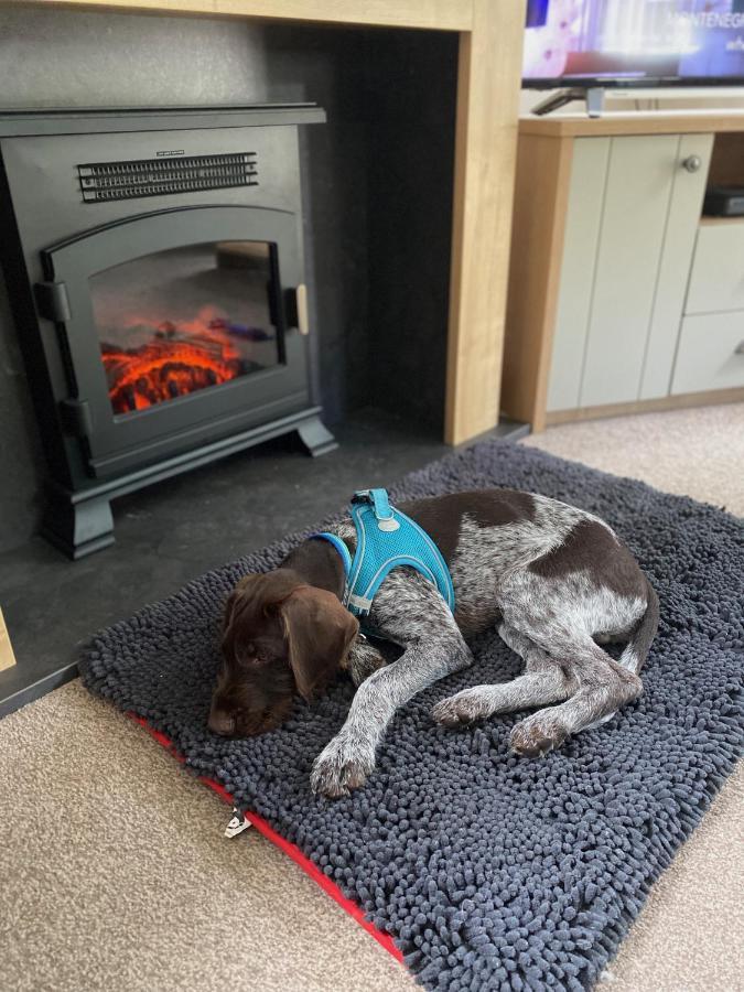 Caorann Lodge, 205 Tummel Valley Holiday home Pitlochry