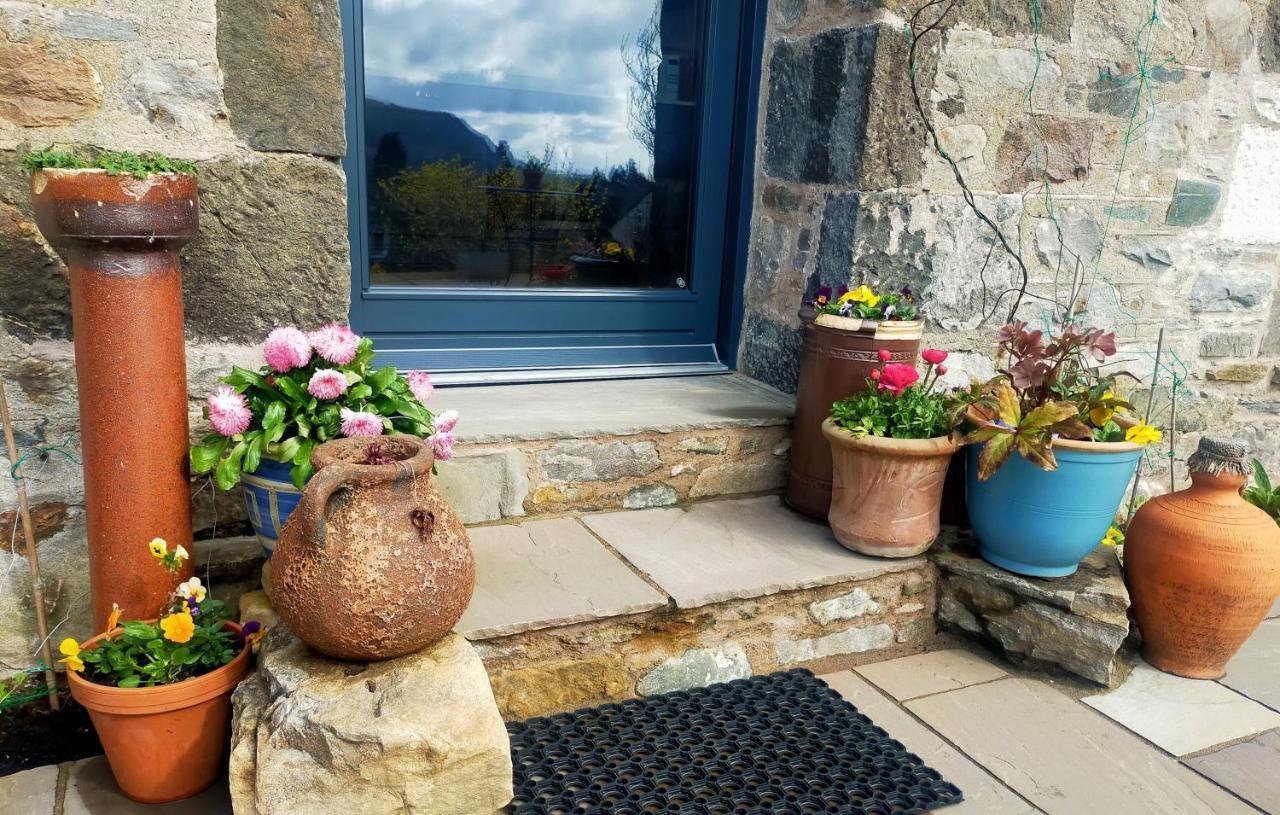 Braeside - Adorable 2 Bedroom Eco-friendly Character *