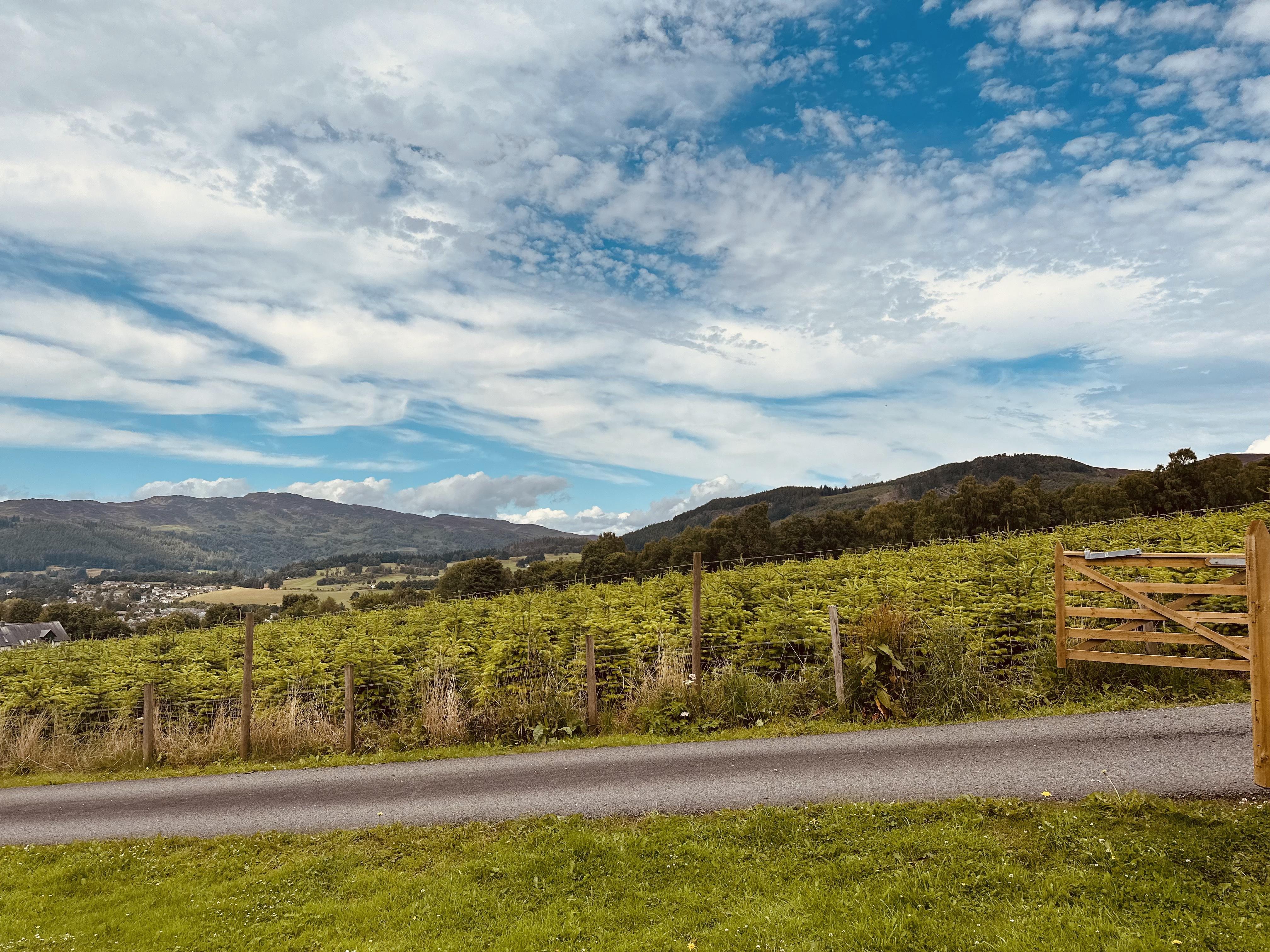 Kinnaird Woodland Lodge
