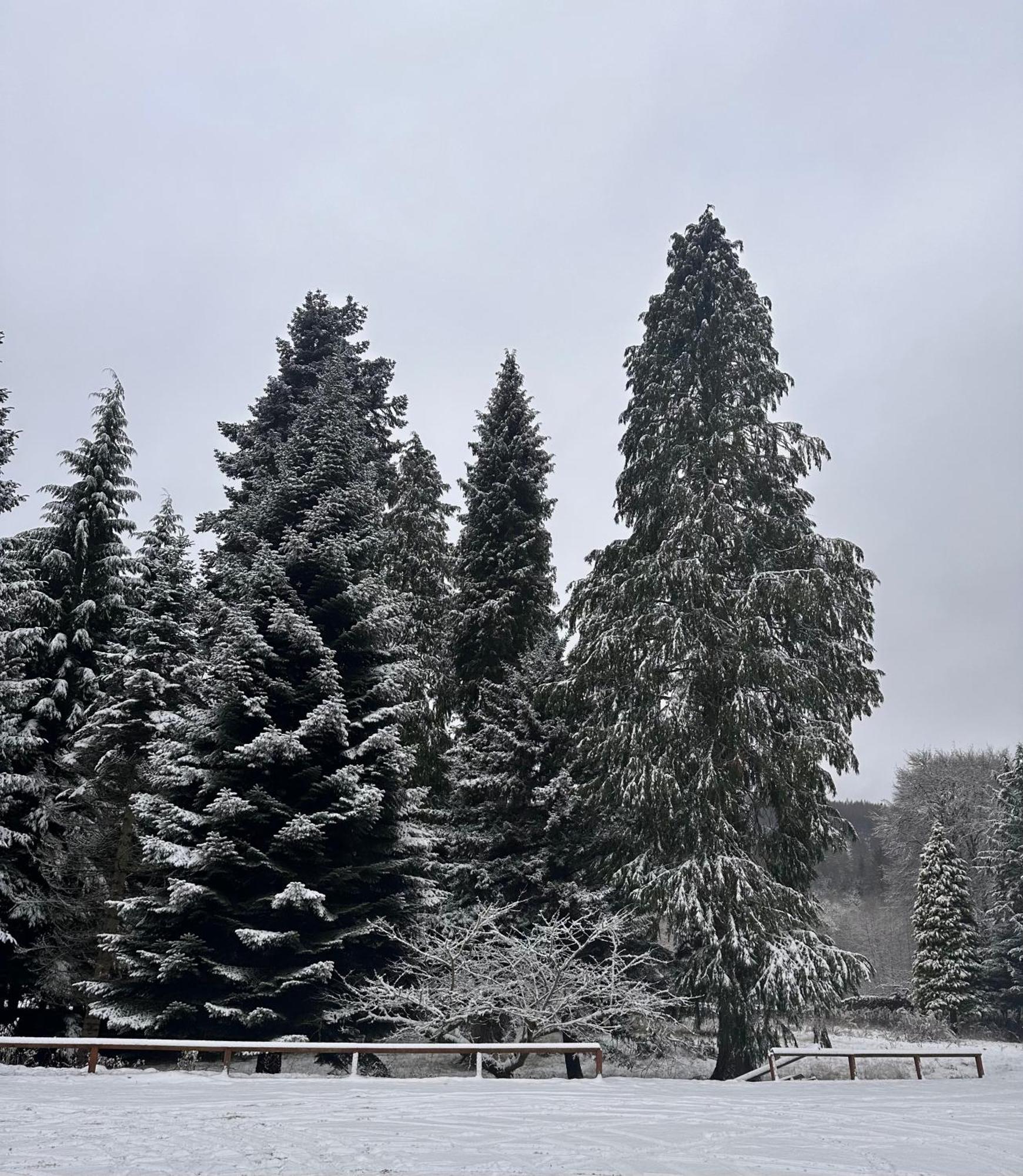 Lodge Kinnaird Woodland Pitlochry