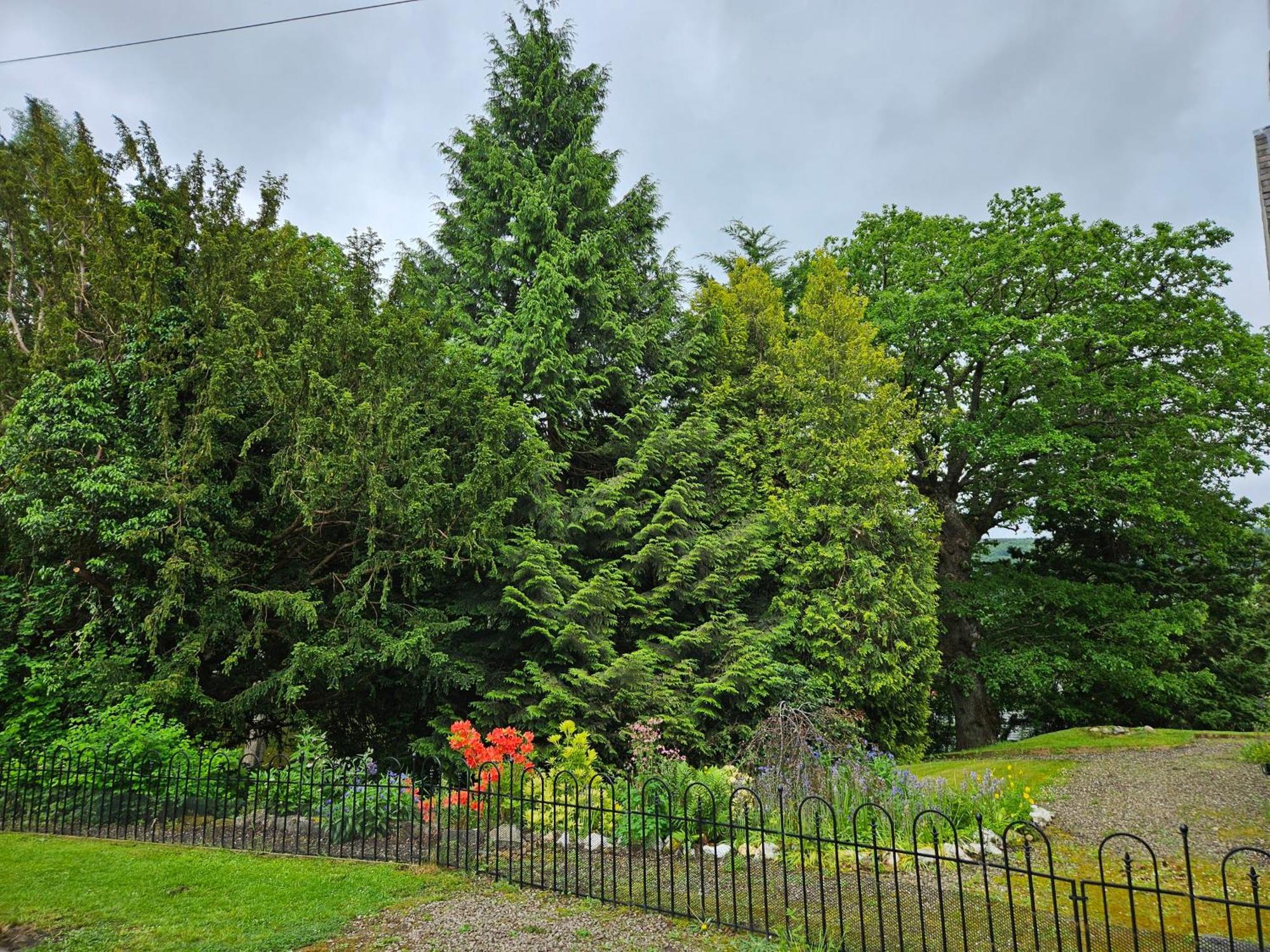 Holiday home Cosy Peaceful One-bedroom In Pitlochry