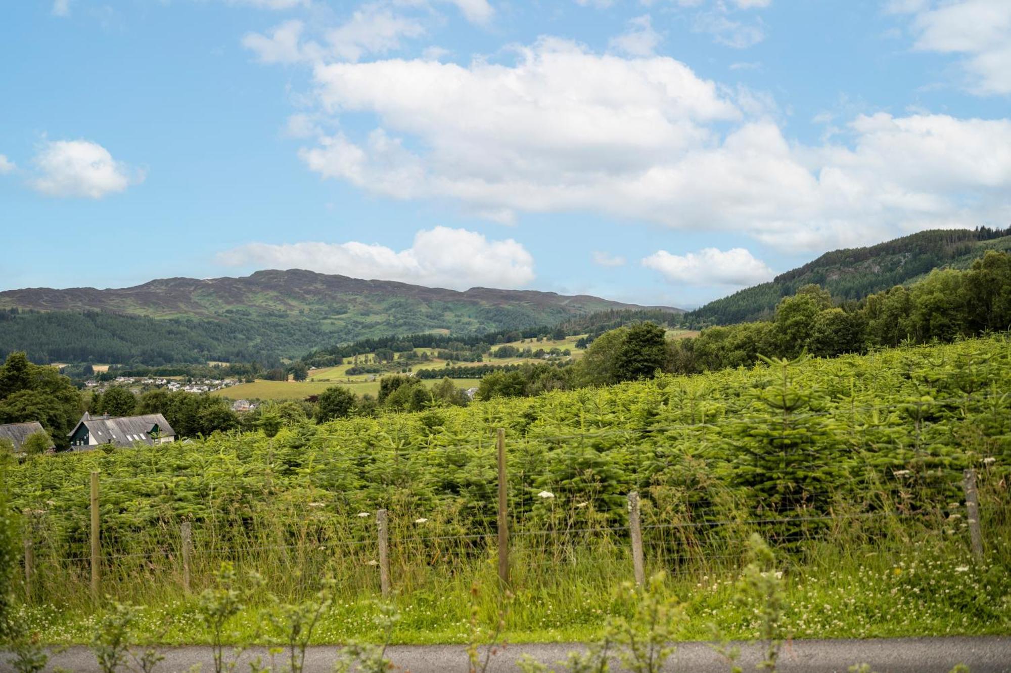Lodge Kinnaird Woodland *