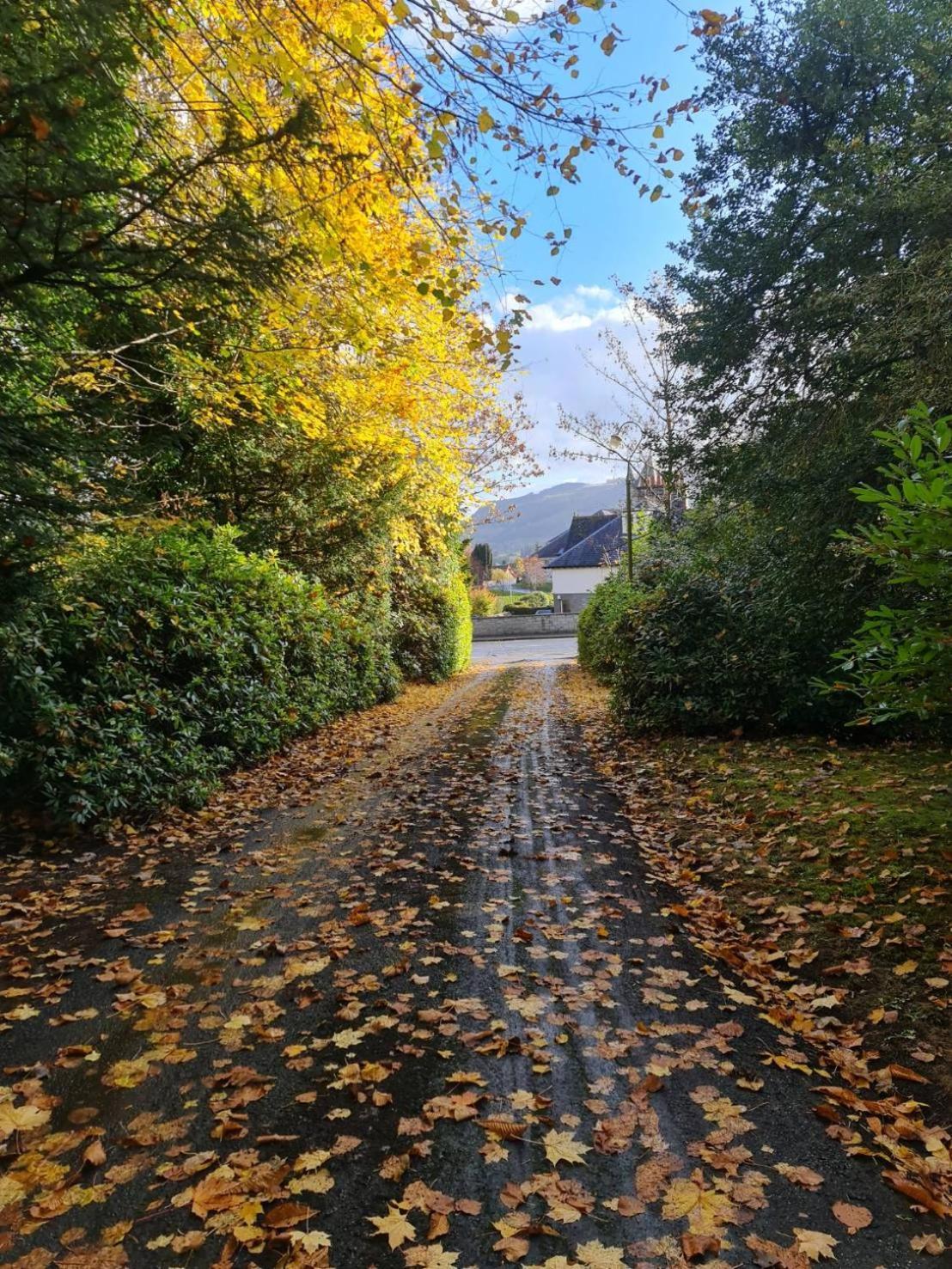 Wellwood Manor Guest house Pitlochry