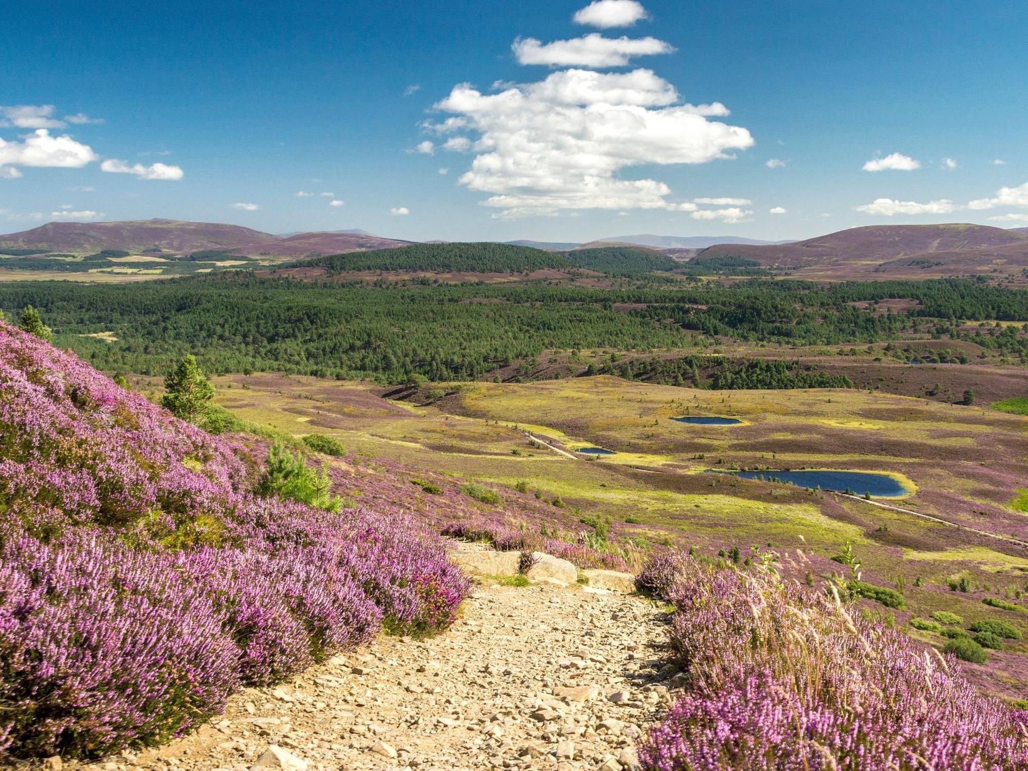 Ardlevale Holiday home *