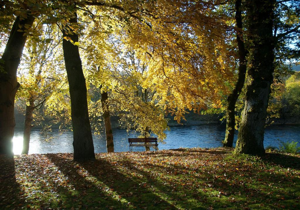 Riverwood Strathtay * Pitlochry