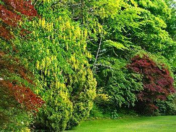 Country house Birchwood *