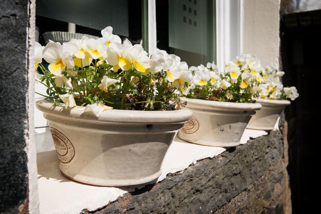 Bed & Breakfast Ellangowan House 4*