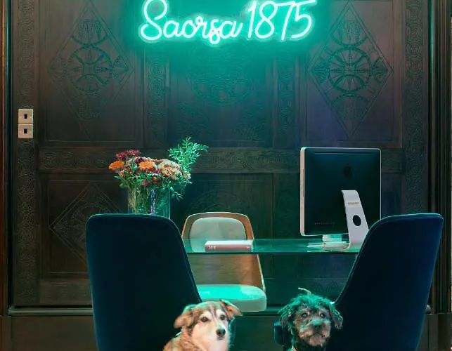 Saorsa 1875
