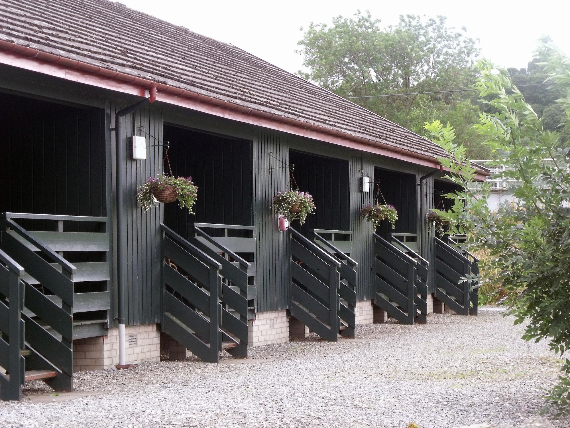 Logierait Pine * Pitlochry