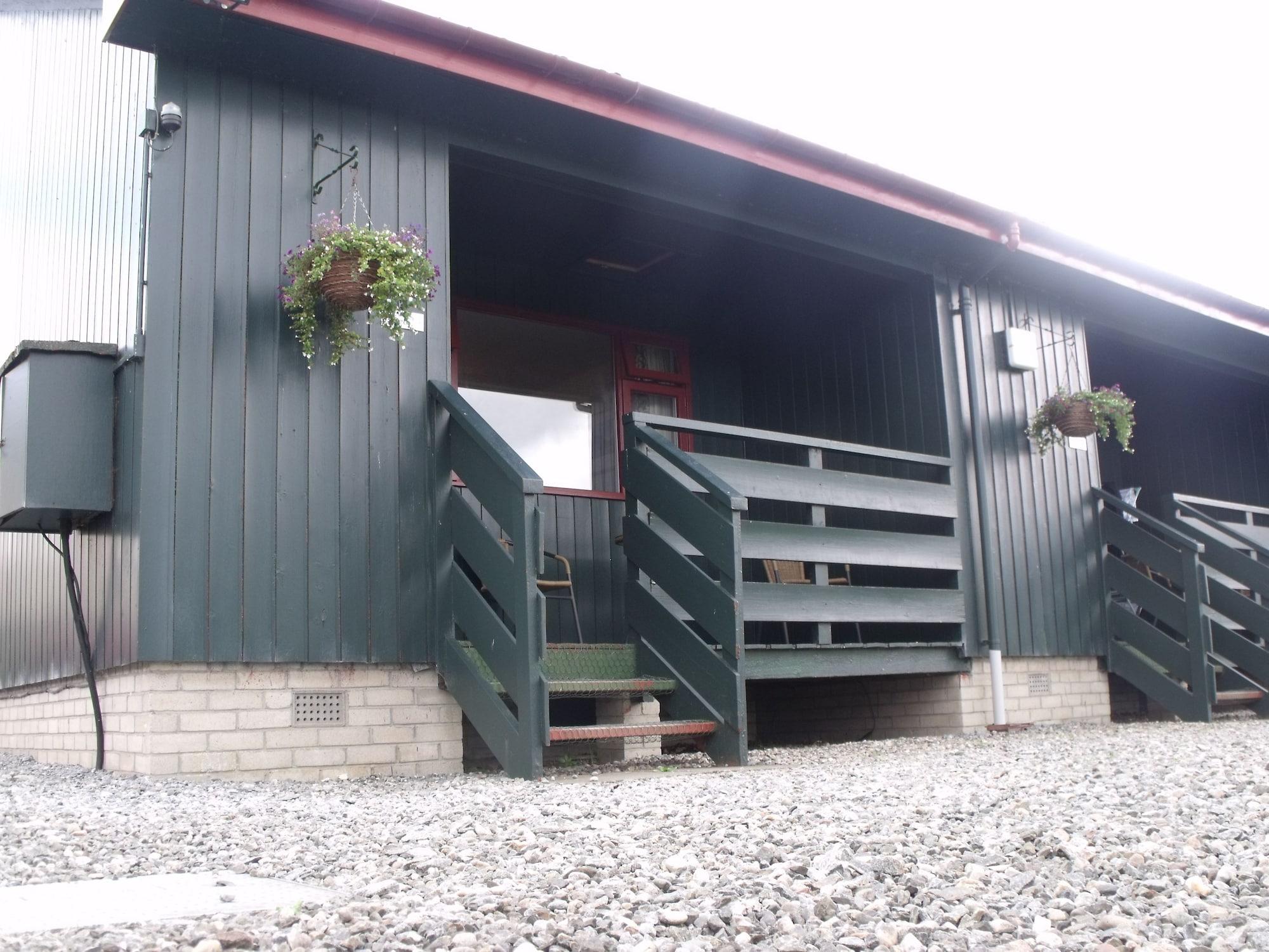 Logierait Pine Pitlochry