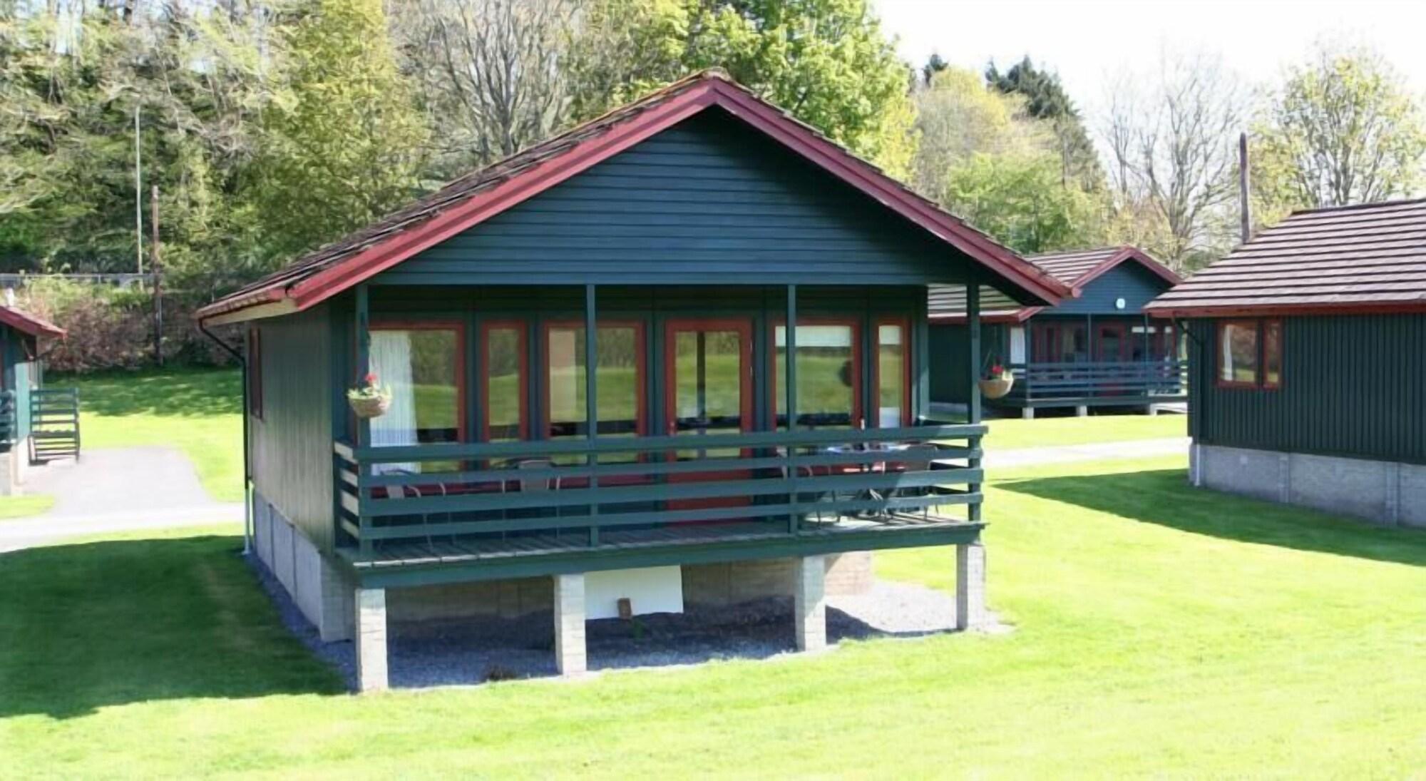 Logierait Pine Pitlochry