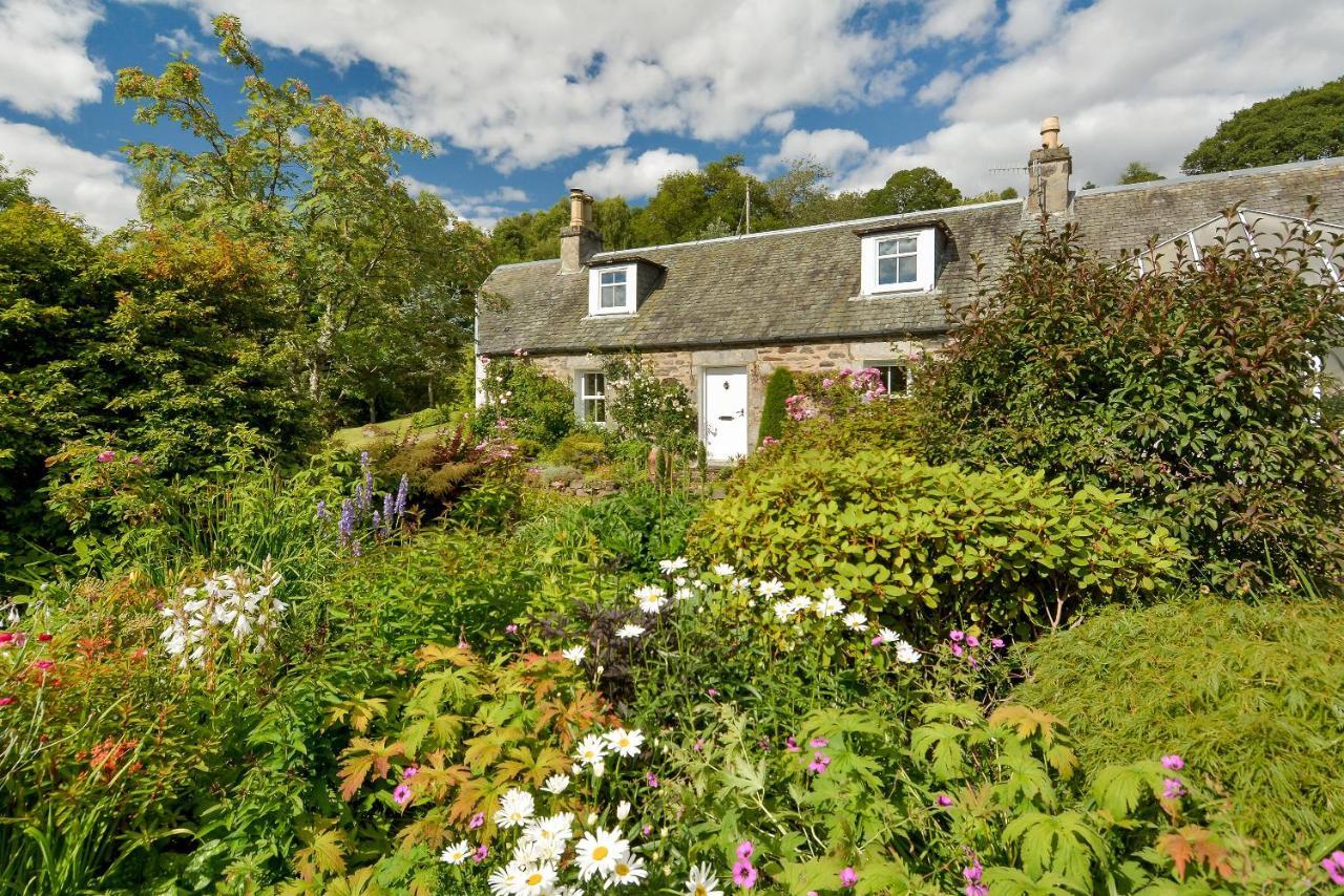 Wintergreen Guest house *