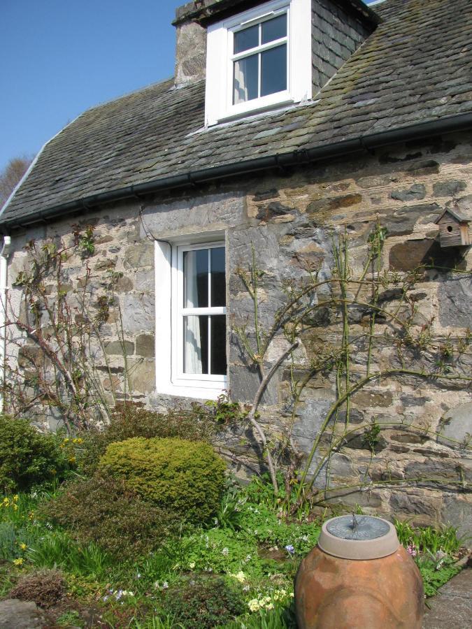 Wintergreen Guest house *