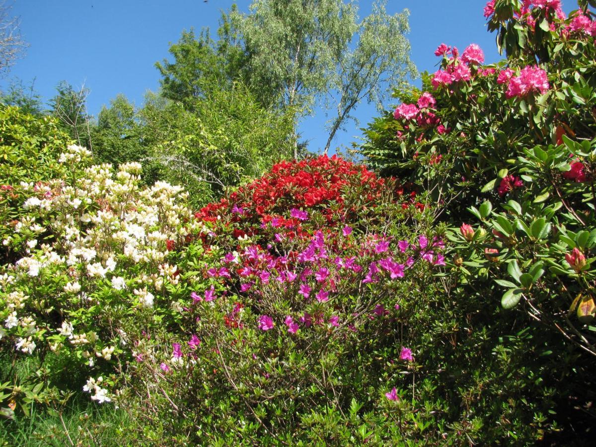 Wintergreen Guest house Pitlochry