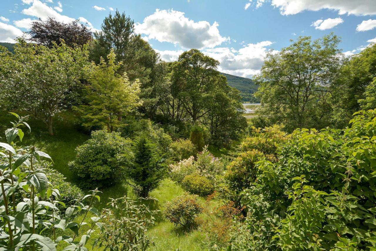 Wintergreen * Pitlochry