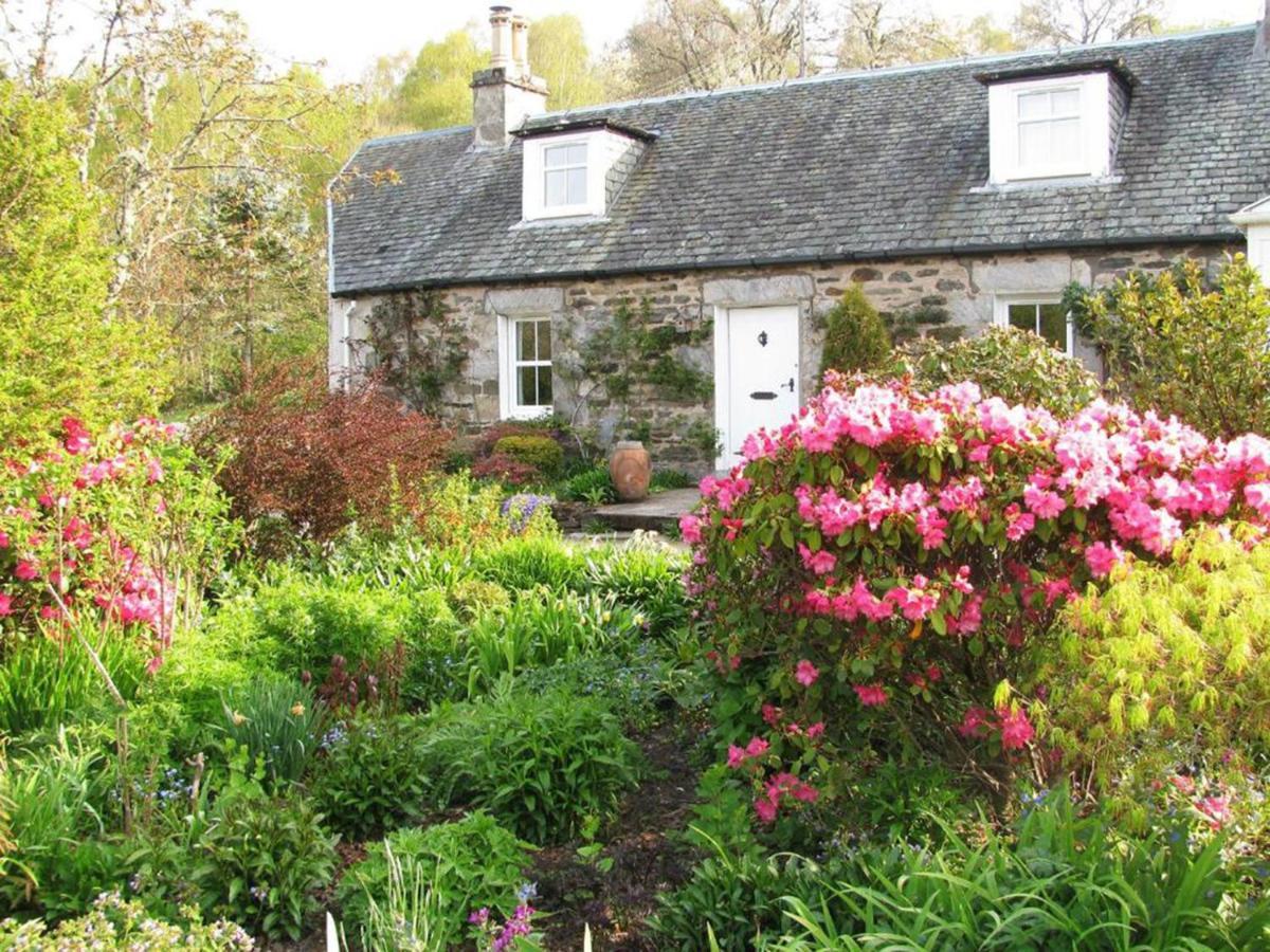 Wintergreen Guest house Pitlochry