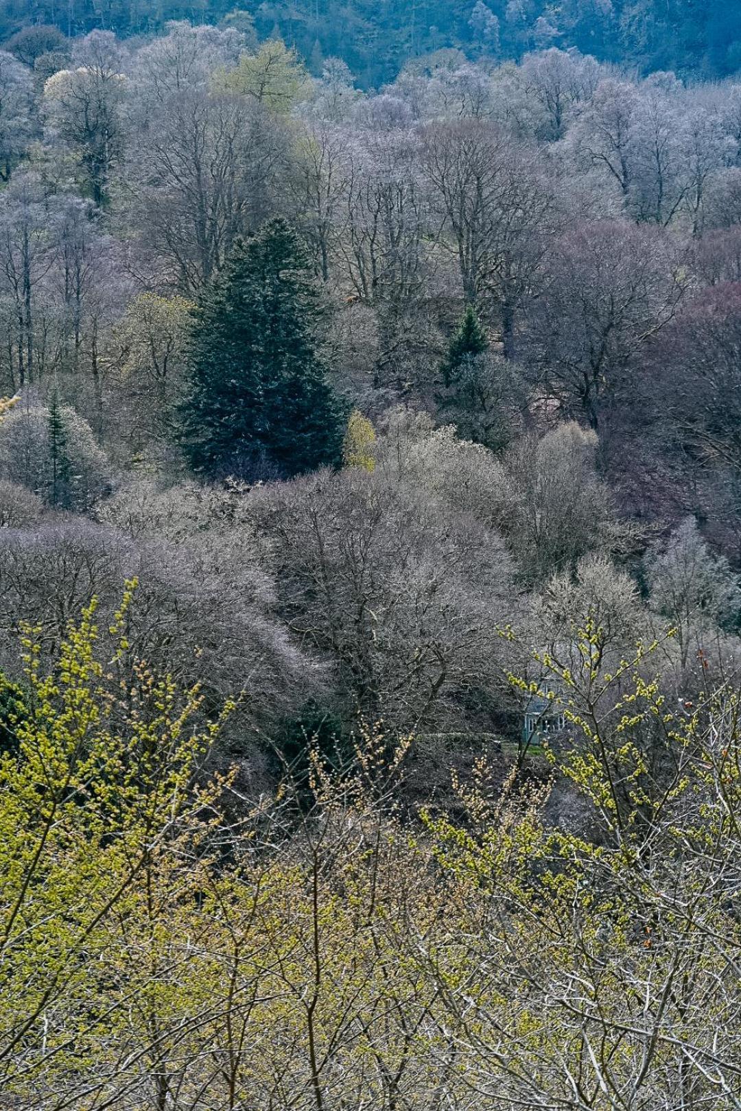 Youth Pitlochry