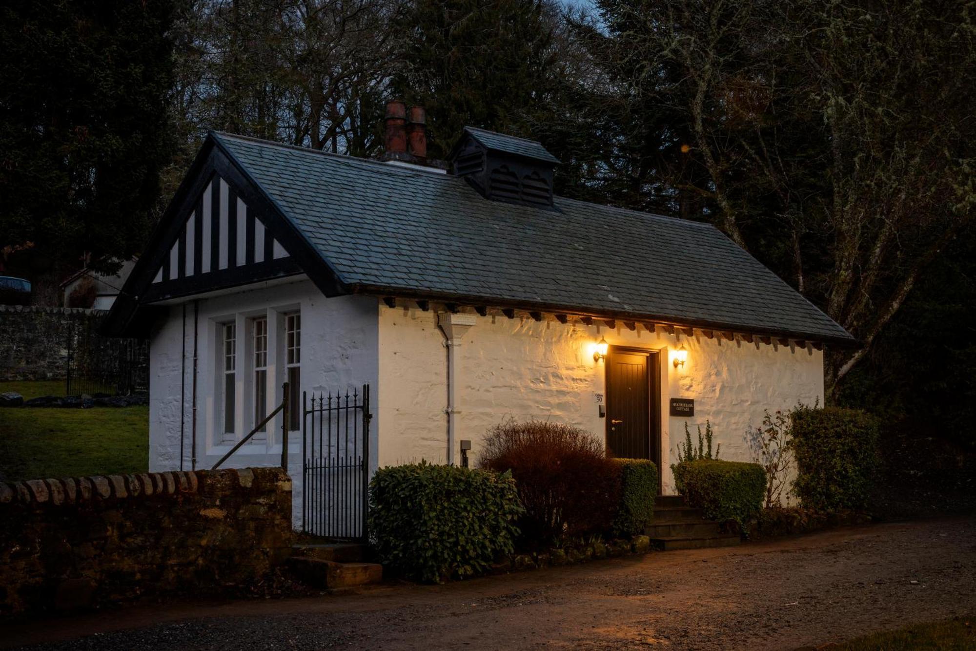 Pine Trees Country house