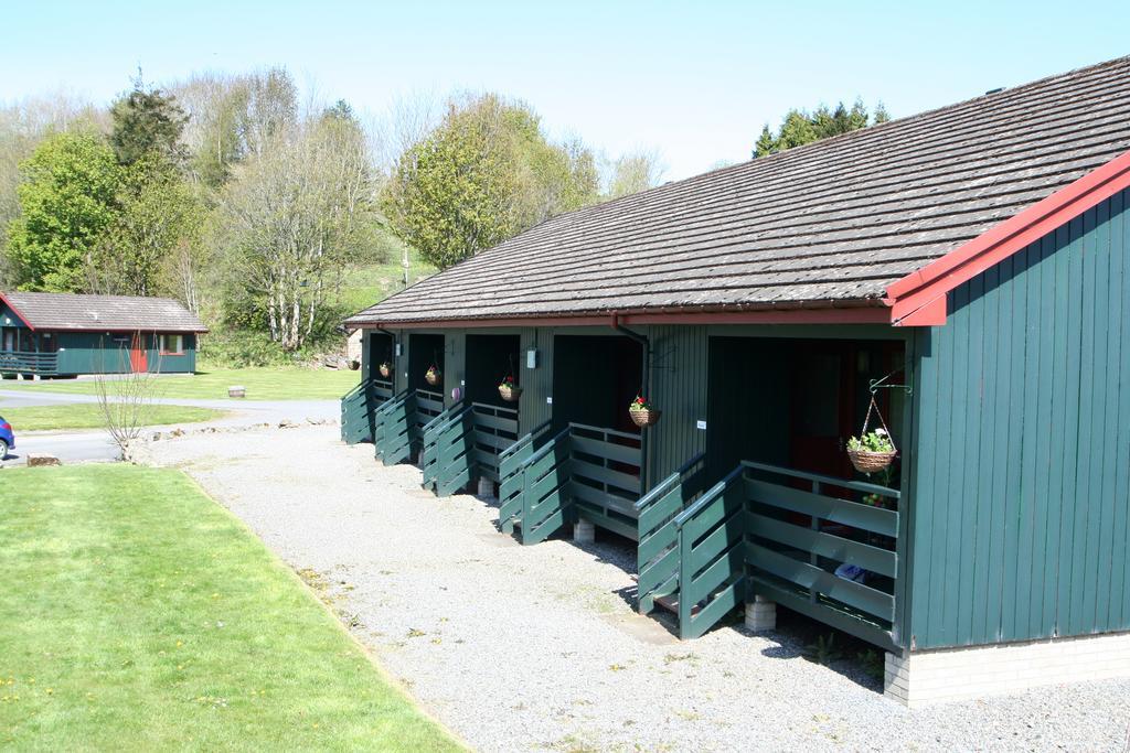 Logierait Pine Pitlochry