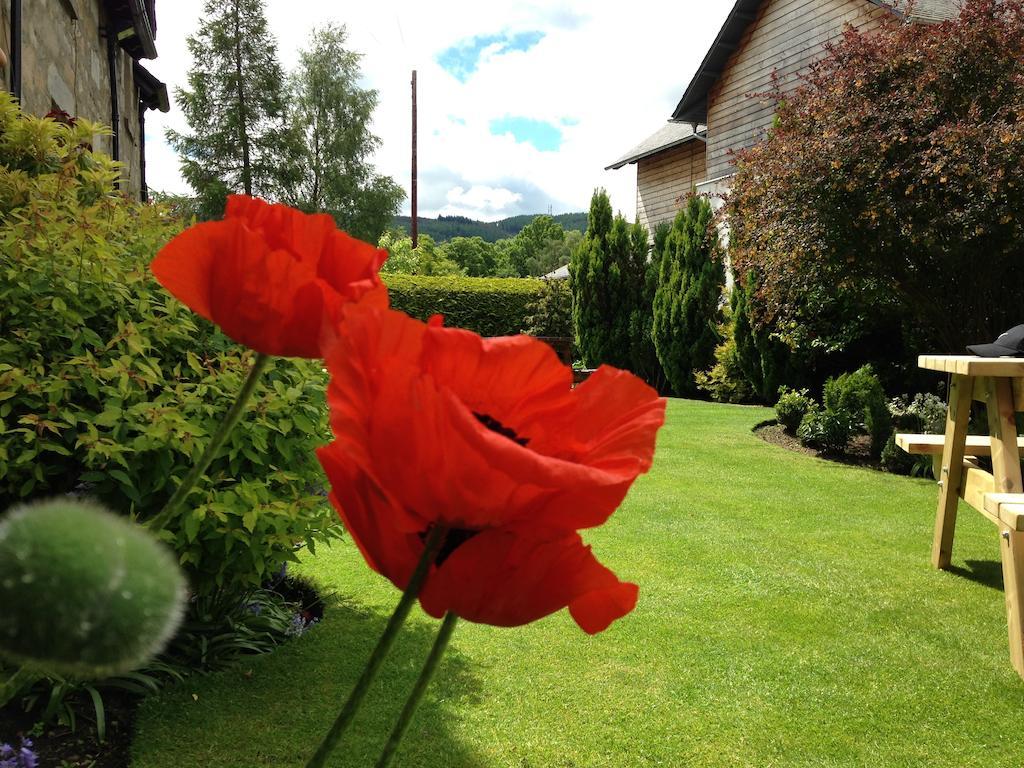 Bed & Breakfast Buttonboss Pitlochry