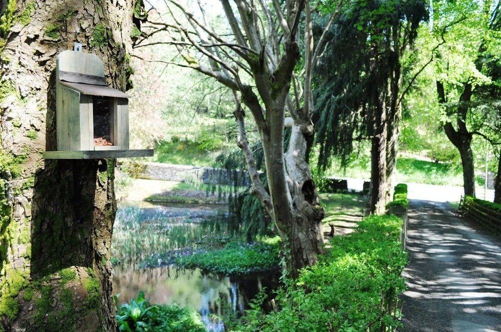 Craigmhor Lodge & Courtyard * Pitlochry