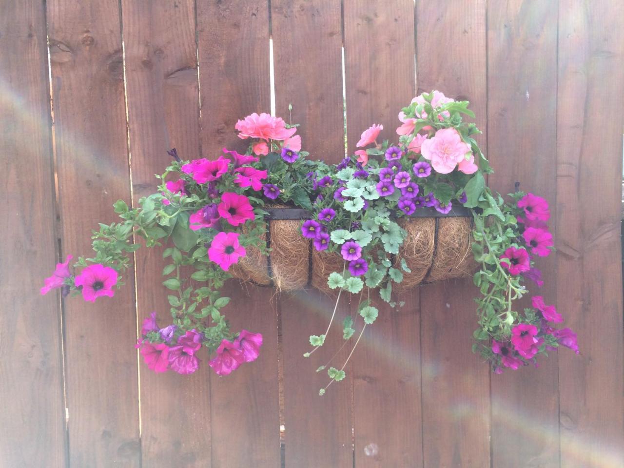 Rosehill Bed & Breakfast