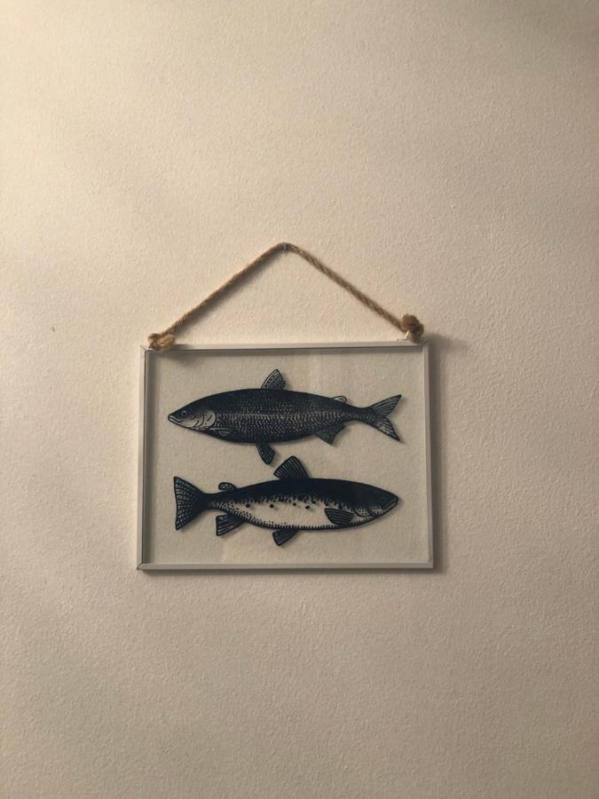 Apartment Bradan *